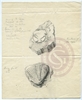 Pencil drawings of two trilobites from the Caradoc Limestone, by Mrs Frances Stackhouse Acton copied from her own collection, [1837-1842?].
